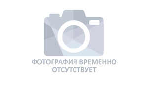 Трофимова Светлана Александровна.